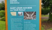 Excursión A pie Rétonval - Circuit de la Tour Mailly - Photo 2