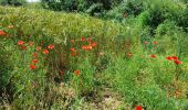 Trail Walking Saint-Côme-d'Olt - live Saint Côme - Estaing - Photo 20