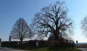 Tour Zu Fuß Bruchköbel - Bruchköbel Wanderweg 1 - Photo 10