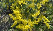 Randonnée Marche Le Muy - Les trois croix  Roquebrune - Photo 3