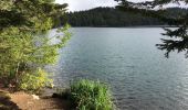 Trail Walking Besse-et-Saint-Anastaise - Lac Pavin et Lac de Moncynère - Photo 3