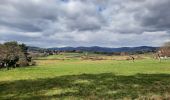 Percorso Marcia Brindas - petit tour sur haut de la joanna - Photo 1