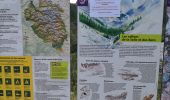 Tour Wandern Vallouise-Pelvoux - Entre les Aigues - Photo 11