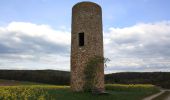 Tour Zu Fuß Fulda - Rundwanderweg Eichberg - Photo 3