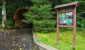 Tour Zu Fuß Böhmischdorf - NS Živé vody - Photo 10