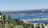 Tocht Stappen Sète - Mont St. Clair, Sète.  - Photo 18