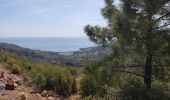 Tocht Stappen Saint-Raphaël - Le drapeau - Photo 12