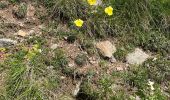 Percorso  Santo Stefano di Tinia - Tête de l autaret Lagos colla longa - Photo 6