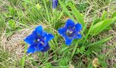 Tocht Stappen Aime-la-Plagne - RETOUR DU REFUGE DE LA COIRE - Photo 3