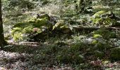 Tour Wandern Arc-en-Barrois - 52 Arc en Barrois dolmens - Photo 3