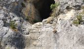 Randonnée Marche Sisteron - Grotte trou d'argent - Photo 9