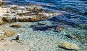 Excursión Senderismo Saint-Florent - De la plage de l'Ospédale  à la plage de Lotu Saint Florent Haute Corse - Photo 14