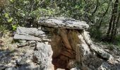 Trail Walking Méjannes-le-Clap - mejannes sentier des baumes dolmens aven de peyre haute - Photo 8