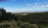 Trail Walking Laroque-des-Albères - La Roque des Alberes, randonnée et botanique - Photo 4