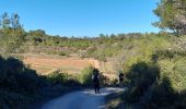 Percorso Marcia Cessenon-sur-Orb - Cazedarnes - Photo 3