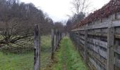 Randonnée Marche Theux - theux cimetière . juslenville . hauts sarts . pouillu fourneau . rondehaye . theux cimetière  - Photo 18