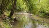 Tour Wandern Doische - Vallée de l'Hermeton - Photo 6