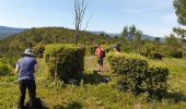 Trail Walking Saint-Zacharie - Saint Zac Yves Isa Valérie  - Photo 1