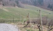 Tour Wandern Allonzier-la-Caille - 18-03-2022 Ponts de la Caille - Creux de Vallières - Photo 4