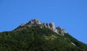 Trail Walking Marignac-en-Diois - Marignac - But de l'Aiglette - Col de Vassieux - Photo 13