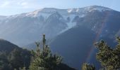 Excursión Senderismo Saint-Léger-du-Ventoux - saint léger du ventoux  - Photo 8