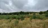 Tour Wandern Lüttich - Boucle Fragnée - Chênée - Streupa - Angleur - Fragnée - Photo 3