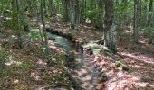 Excursión Senderismo Vialas - Mas de la barque source du Tarn - Photo 3