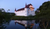 Tocht Te voet Ettiswil - Riedbruggmüli - Grosswangen - Photo 3