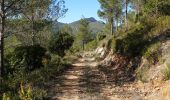Trail Walking Gémenos - Hauts de Coulin - Photo 3
