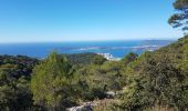 Trail Walking Toulon - Mont Faron - Photo 1