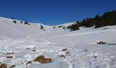 Trail Touring skiing Manteyer - Tour de Ceuse - Photo 1