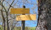 Trail Walking Chambon-sur-Lac - BOUCLE AUTOUR DE LA COUZE DE SURAINS - Photo 17