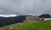 Tour Wandern Xonrupt-Longemer - 2024 RA Vosges J3 tour du schiessrothried - Photo 8