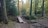 Trail Walking Stoumont - Le Roannay, le mont des Brumes, la fagne - Photo 18