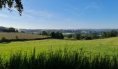 Randonnée Marche Verneuil-sur-Vienne - la Merlie - Photo 2