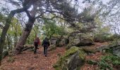 Excursión Senderismo Ballancourt-sur-Essonne - Boucle autour de Ballancourt - Photo 10