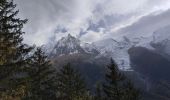 Randonnée Marche Chamonix-Mont-Blanc - 20241015 Chamonix Bois print Gaillands - Photo 1