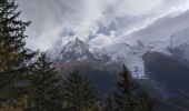 Trail Walking Chamonix-Mont-Blanc - 20241015 Chamonix Bois print Gaillands - Photo 1