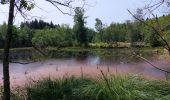 Trail Walking Écromagny - Étang de plate pierre - Photo 1