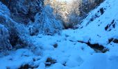 Tocht Sneeuwschoenen Andon - Descente vers le Loup en raquettes - Photo 10