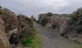 Trail Walking Collioure - madeloc depuis col de la serra, via col de villauria, batterie 500, retour  - Photo 1