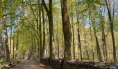 Tour Wandern Court-Saint-Étienne - ADEPS - promenade de Tangissart - Photo 2