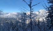 Percorso Racchette da neve Saint-Jean-de-Sixt - Le panorama du Danay (14) - Photo 14