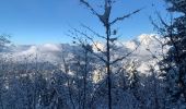 Excursión Raquetas de nieve Saint-Jean-de-Sixt - Le panorama du Danay (14) - Photo 14