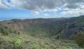 Trail Walking Santa Brígida - Cratère de Bandama (Gran Canaria) - Photo 10