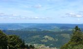 Tour Wandern Büssing - Circuit col de bussang / tête de la Bouloie - Photo 11