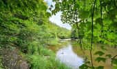 Randonnée Marche Florenville - Le Point de vue la Bohanan - Chassepierre - Photo 2