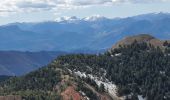 Tour Wandern Barles - 2023-04-07 Le Forest - Cloche de Barles - Photo 2