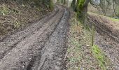 Trail Walking Aywaille - Elfique 13km - Photo 6