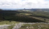 Excursión Senderismo Le Béage - suc des Chartreux partie 1 - Photo 1